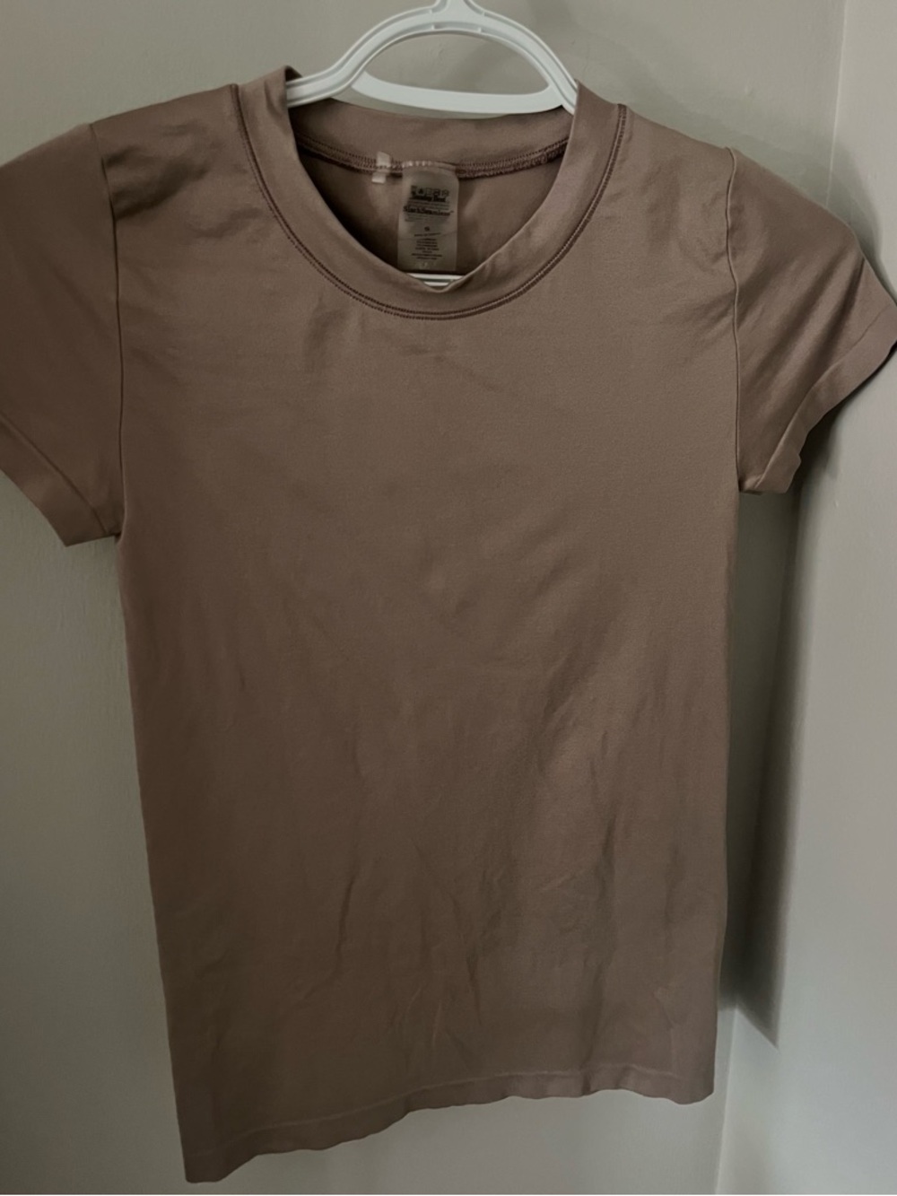Aritzia Sunday Best Seamless Tee in Mauve-Taupe